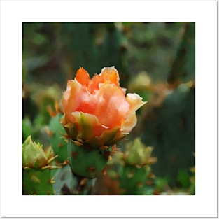 Orange Cactus Floral Blooms Posters and Art